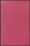 Cover for Walter F. Weiker · Turkish Revolution (Hardcover Book) [New edition] (1980)