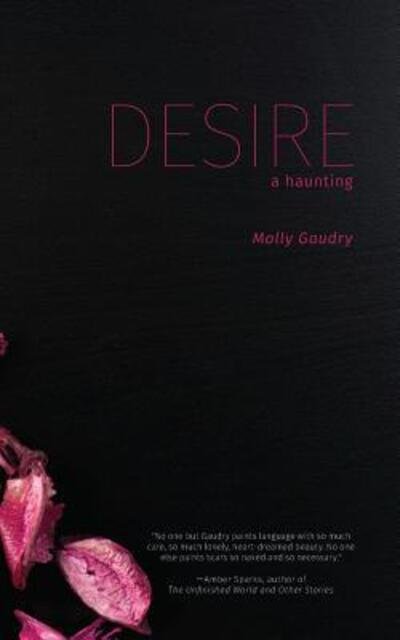 Cover for Molly Gaudry · Desire A Haunting (Taschenbuch) (2018)