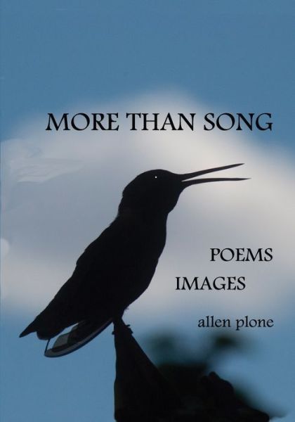 Cover for Allen Plone · More Than Song (Paperback Book) (2020)