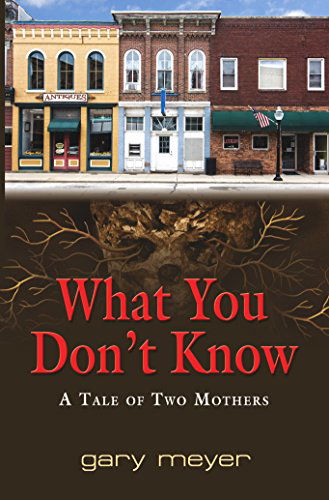 Cover for Gary Meyer · What You Don't Know (Paperback Book) (2014)