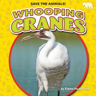 Whooping Cranes - Emma Huddleston - Książki - BEARCUB - 9781636918037 - 1 sierpnia 2022