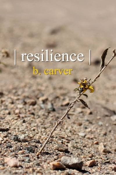 Cover for Blair Carver · Resilience (Pocketbok) (2019)