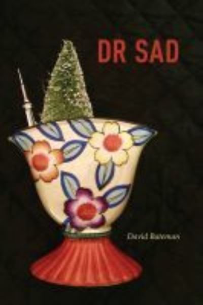 Cover for David Bateman · DR SAD - Brave &amp; Brilliant (Paperback Book) (2020)