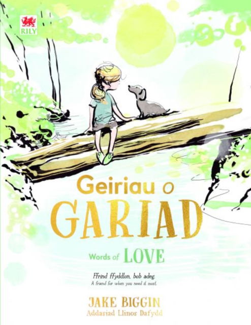 Geiriau o Gariad / Words of Love - Jake Biggin - Books - Rily Publications Ltd - 9781804164037 - October 10, 2024