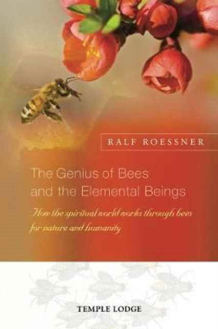 Cover for Ralf Roessner · The Genius of Bees and the Elemental Beings: How the Spiritual World Works Through Bees for Nature and Humanity (Taschenbuch) (2017)