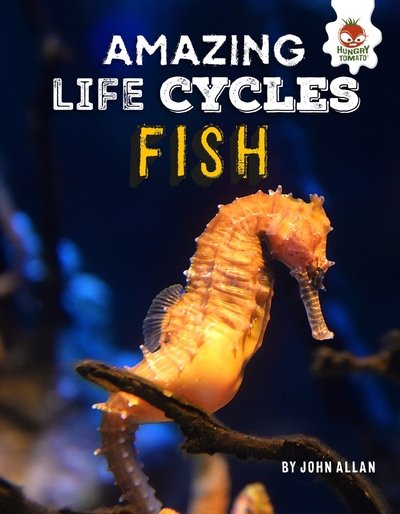 Cover for John Allan · Amazing Life Cycles- Fish (Paperback Book) (2019)