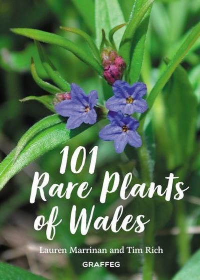 Cover for Tim Rich · 101 Rare Plants of Wales (Inbunden Bok) (2023)