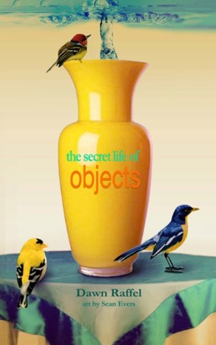 Cover for Dawn Raffel · The Secret Life of Objects (Paperback Book) (2012)