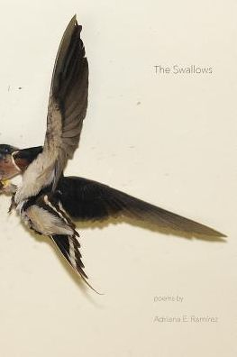 Cover for Adriana E Ramirez · The Swallows (Paperback Book) (2016)