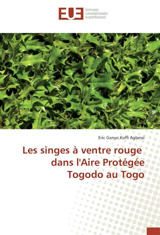 Cover for Agbessi · Les singes à ventre rouge dans (Bok)