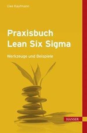 Cover for Kaufmann · Praxisbuch Lean Six Sigma (Hardcover Book) (2012)