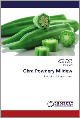 Cover for Utpal Dey · Okra Powdery Mildew: Erysiphe Cichoracearum (Paperback Book) (2012)