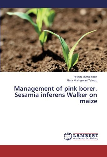Cover for Uma Maheswari Telugu · Management of Pink Borer, Sesamia Inferens Walker on Maize (Pocketbok) (2013)