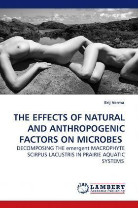 Cover for Brij Verma · The Effects of Natural and Anthropogenic Factors on Microbes: Decomposing the Emergent Macrophyte Scirpus Lacustris in Prairie Aquatic Systems (Paperback Book) (2009)