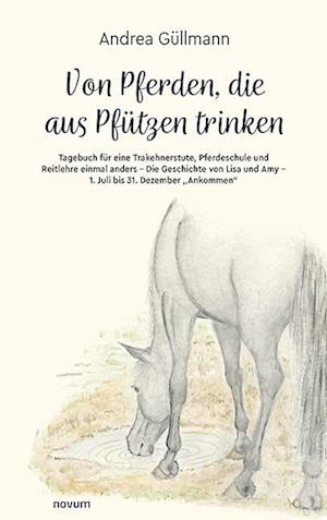 Cover for Andrea Güllmann · Von Pferden, die aus Pfützen trinken (Bok) (2025)