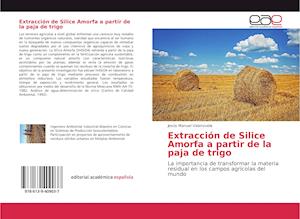 Cover for Valenzuela · Extracción de Silice Amorfa (Book)