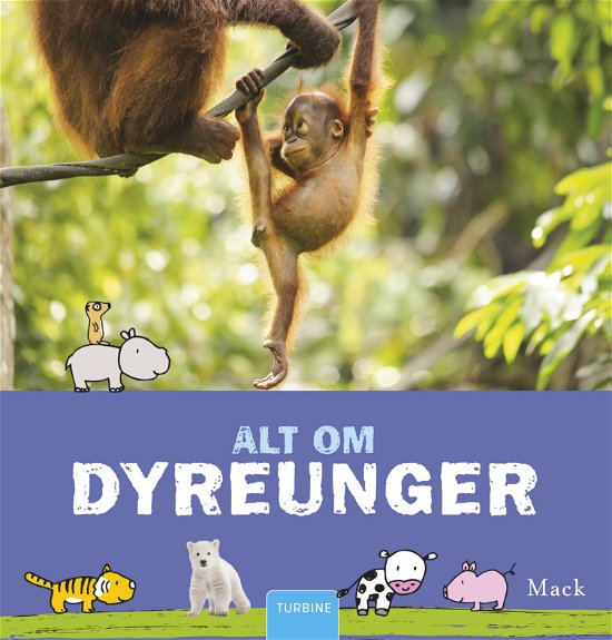 Cover for Mack · Alt om dyreunger (Gebundenes Buch) [1. Ausgabe] (2018)