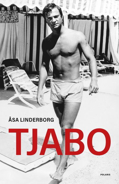 Cover for Åsa Linderborg · Tjabo (Hardcover Book) (2025)