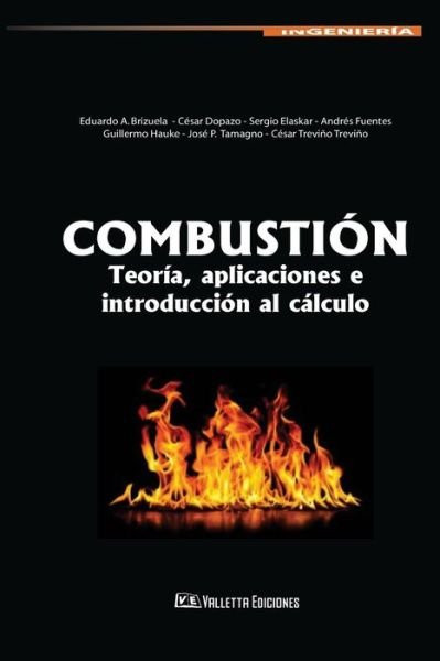 Cover for Dopazo · Combustion (Taschenbuch) (2017)
