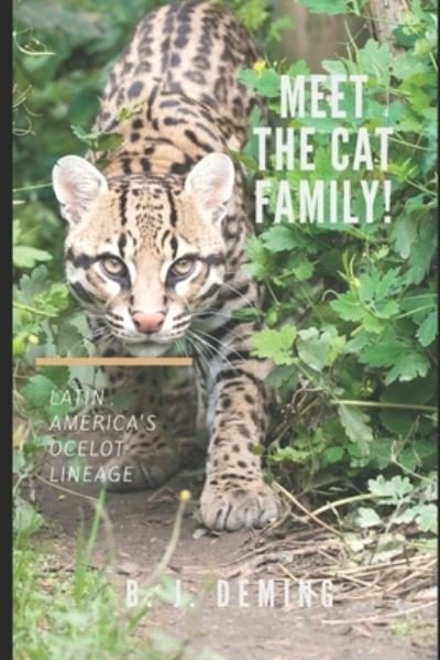 Cover for B J Deming · Meet the Cat Family! (Paperback Bog) (2020)