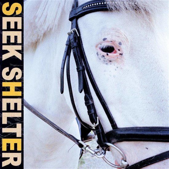 Cover for Iceage · Seek Shelter (LP) [Coloured edition] (2021)