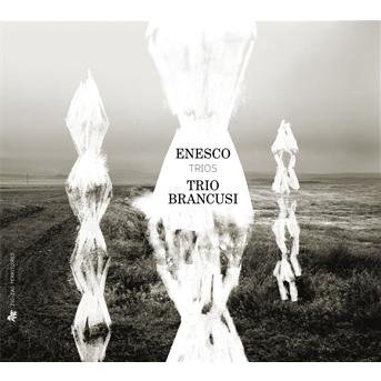 Trios - Enesco / Trio Brancusi / Khourdoian / Buruiana - Musiikki - ZIG-ZAG TERRITOIRES - 3760009293038 - tiistai 8. toukokuuta 2012