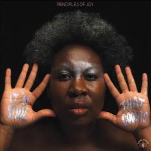 Cover for Principles of Joy · Its Soul That Counts (CD) (2024)