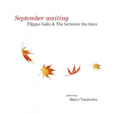Cover for Gallo,filippo &amp; Between the Lines · September Waiting (CD) (2013)