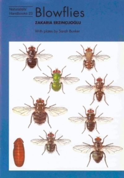 Cover for Zakaria Erzinclioglu · Blowflies - Naturalists' Handbooks (Paperback Book) (1996)