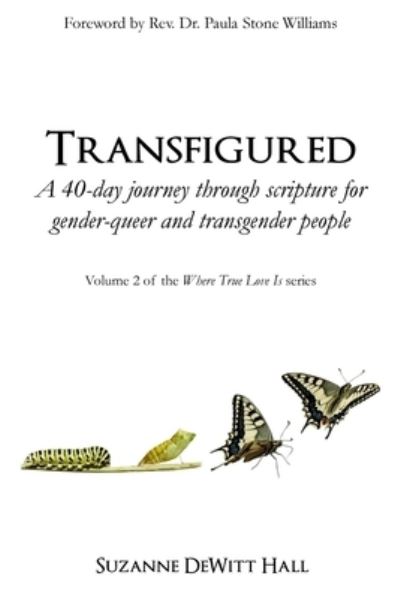 Cover for Suzanne DeWitt Hall · Transfigured A 40-day journey through scripture for gender-queer and transgender people (Paperback Book) (2018)