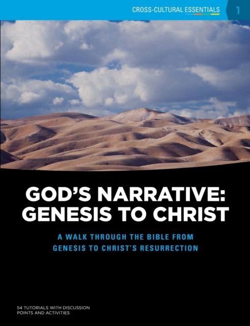 Cover for Accesstruth · God's Narrative (Paperback Book) (2016)