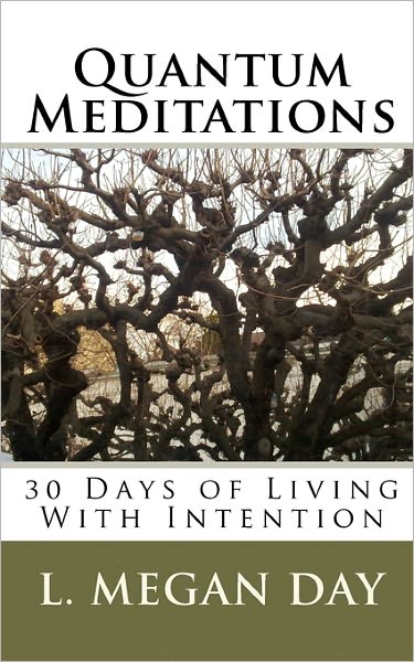 Cover for L Megan Day · Quantum Meditations: 30 Days of Living with Intention (Paperback Book) (2010)