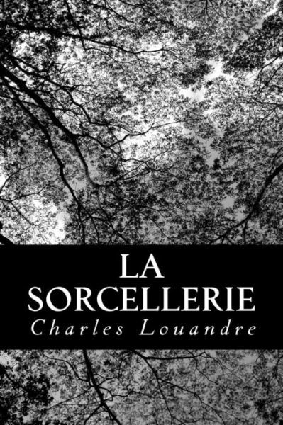 La sorcellerie - Charles Louandre - Books - Createspace Independent Publishing Platf - 9781482398038 - February 9, 2013