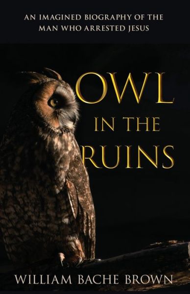 Owl in the Ruins - William Bache Brown - Books - Author Academy Elite - 9781647463038 - September 16, 2020