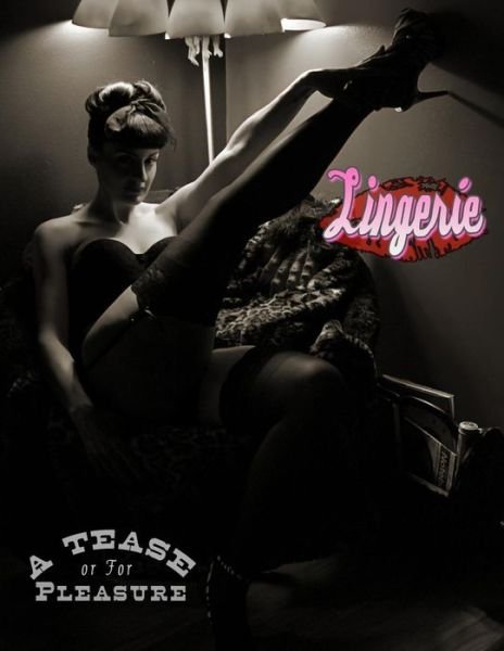 Cover for Michael Enoches · Lingerie: a Tease or for Pleasure (Paperback Book) (2014)