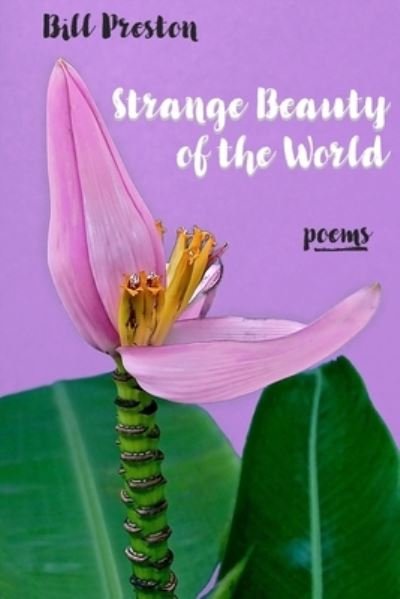 Cover for Bill Preston · Strange Beauty of the World (Paperback Book) (2019)
