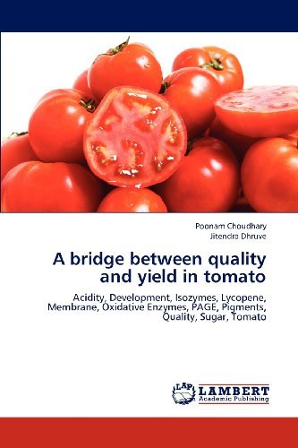 A Bridge Between Quality and Yield in Tomato: Acidity, Development, Isozymes, Lycopene, Membrane, Oxidative Enzymes, Page, Pigments, Quality, Sugar, Tomato - Jitendra Dhruve - Bøger - LAP LAMBERT Academic Publishing - 9783659213038 - 21. august 2012