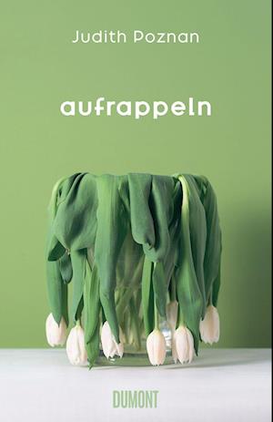 Cover for Judith Poznan · Aufrappeln (Book) (2023)