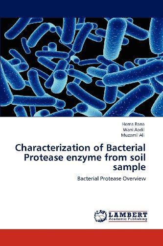Cover for Muzamil Ali · Characterization of Bacterial Protease Enzyme from Soil Sample: Bacterial Protease Overview (Paperback Bog) (2012)