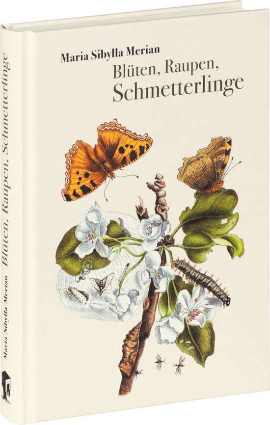 Cover for Merian · Blüten, Raupen, Schmetterlinge (Book)