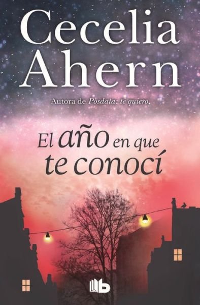 Cover for Cecelia Ahern · El ano en que te conoci / The Year I Met You (Hardcover bog) (2017)