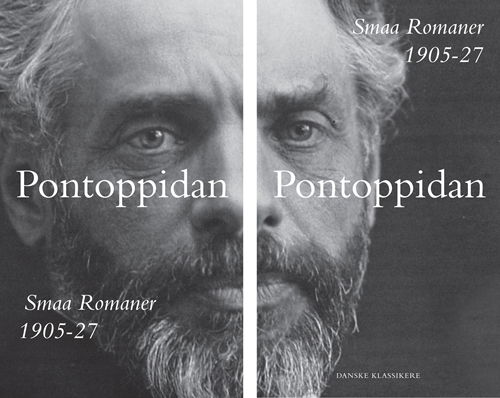 Cover for Henrik Pontoppidan · Danske klassikere fra DSL: Smaa Romaner 1+2 (Bound Book) [1th edição] [Indbundet] (2011)