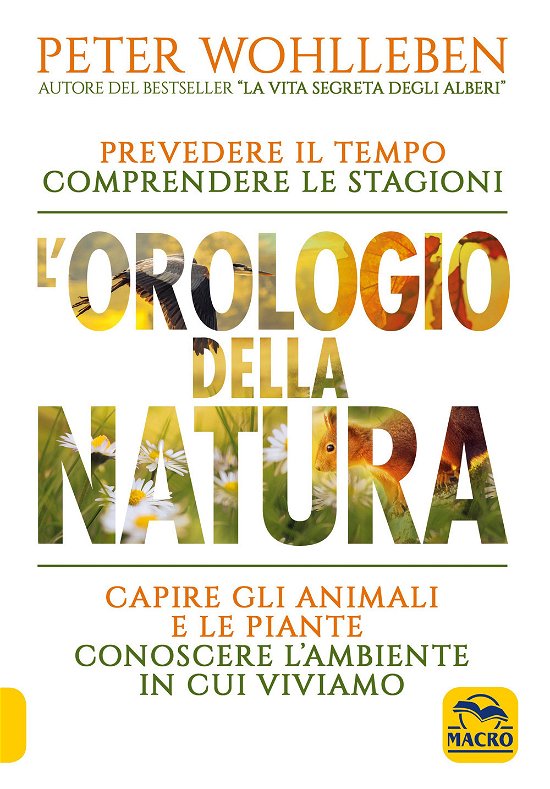 Cover for Peter Wohlleben · L' Orologio Della Natura. Prevedere Il Tempo Comprendere Le Stagioni Capire Gli Animali E Le Piante Conoscere L'ambiente In Cui Vivi (Bok)