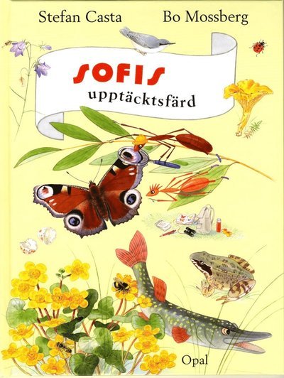 Cover for Stefan Casta · Sofi - din vän i naturen: Sofis upptäcktsfärd (Gebundesens Buch) (2013)