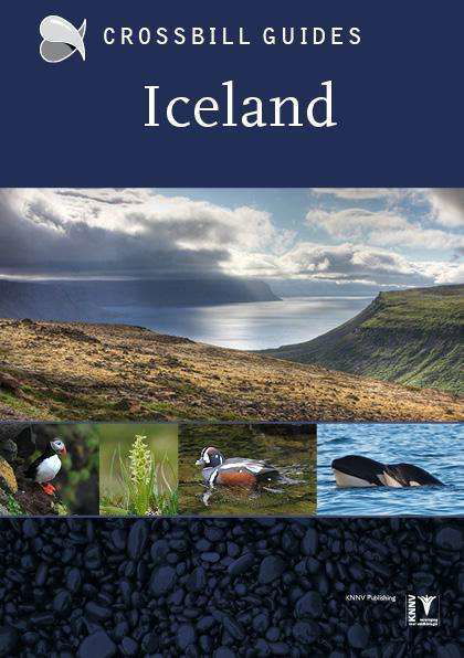 Andy Jones · Iceland (Paperback Book) (2015)