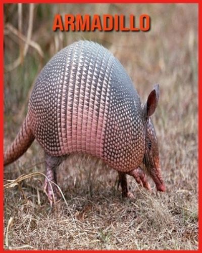 Cover for Linda Davis · Armadillo: Fatti di apprendimento divertenti sui Armadillo (Paperback Book) (2021)