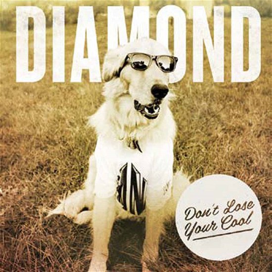Cover for Diamond · Don’t Lose Your Cool (LP) (2014)