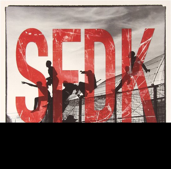Cover for Sfdk · Sin Miedo A Vivir (LP) (2022)