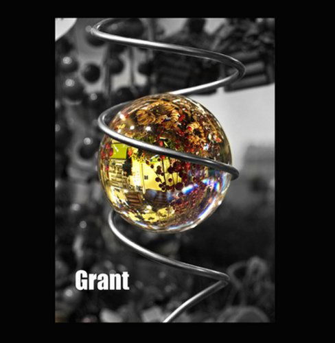 Cover for Grant · Skirr (CD) (2009)