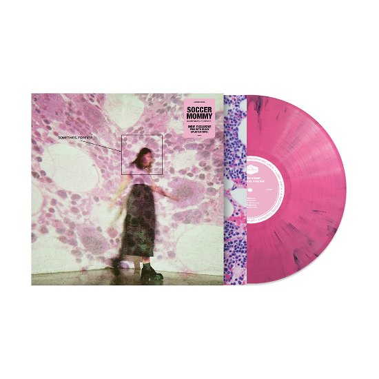 Cover for Soccer Mommy · Sometimes, Forever (Indie Exclusive Pink / Black Splatter Vinyl) (LP) (2022)